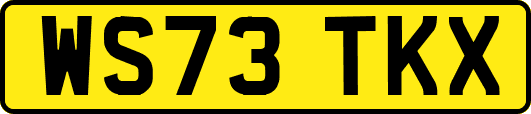 WS73TKX