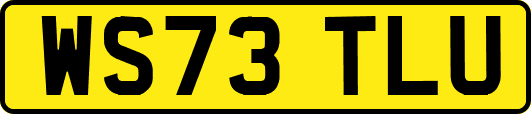 WS73TLU