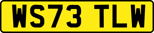 WS73TLW