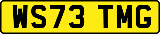 WS73TMG