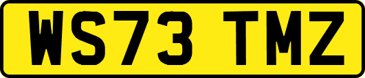 WS73TMZ