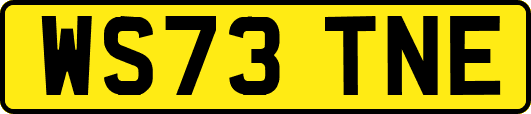 WS73TNE