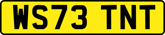 WS73TNT