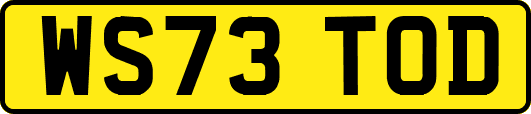 WS73TOD