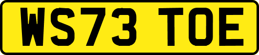 WS73TOE