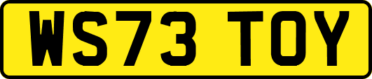 WS73TOY