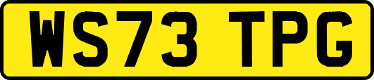WS73TPG