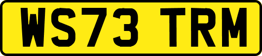 WS73TRM