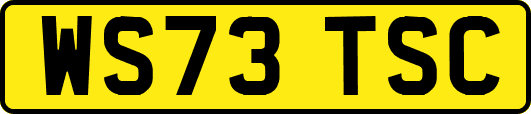 WS73TSC