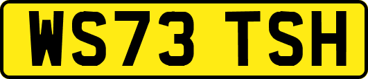 WS73TSH