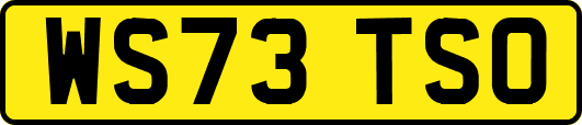 WS73TSO