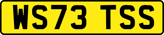 WS73TSS
