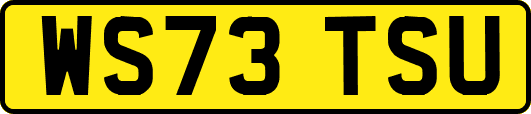 WS73TSU