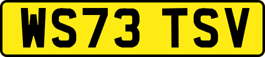 WS73TSV