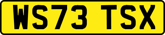WS73TSX
