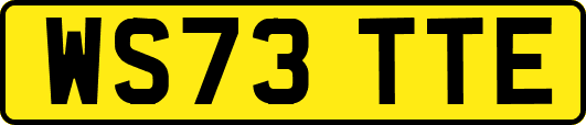 WS73TTE