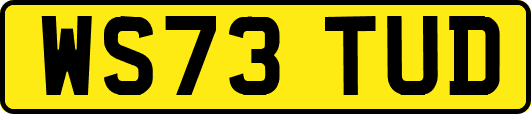 WS73TUD