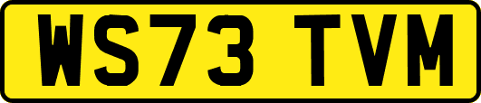 WS73TVM