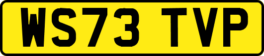 WS73TVP