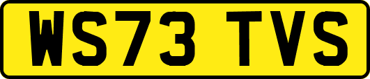 WS73TVS