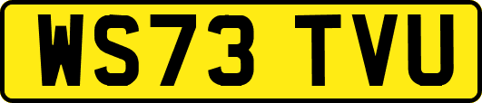 WS73TVU