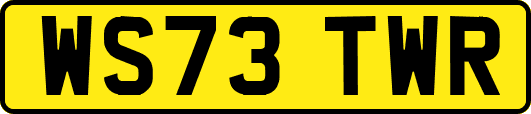 WS73TWR