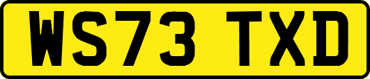 WS73TXD