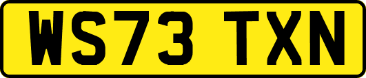 WS73TXN
