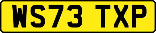 WS73TXP