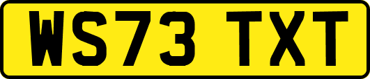 WS73TXT