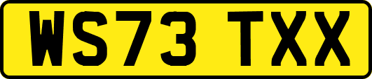 WS73TXX