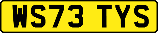 WS73TYS