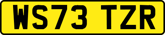WS73TZR