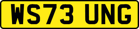 WS73UNG