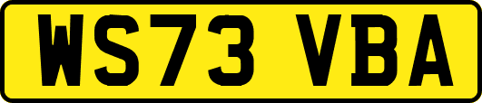 WS73VBA