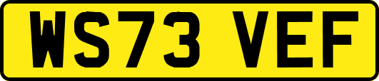 WS73VEF
