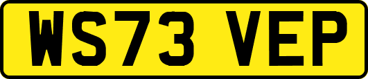 WS73VEP