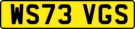 WS73VGS