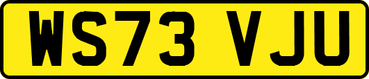 WS73VJU