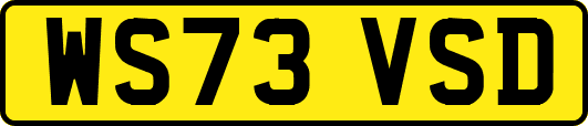 WS73VSD