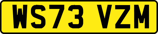WS73VZM