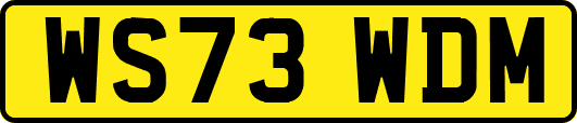 WS73WDM
