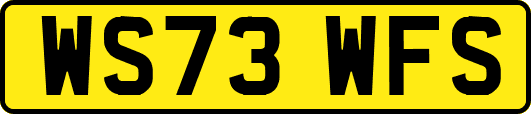 WS73WFS