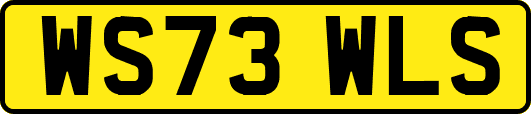 WS73WLS