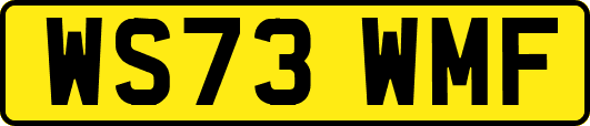 WS73WMF