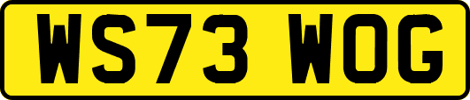 WS73WOG