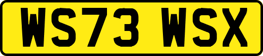 WS73WSX