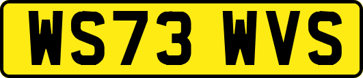 WS73WVS