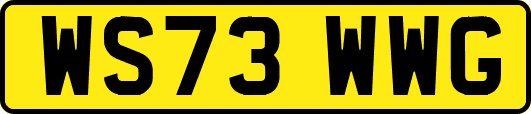 WS73WWG