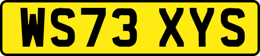 WS73XYS